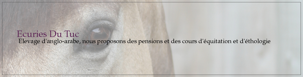Ecuries Du Tuc